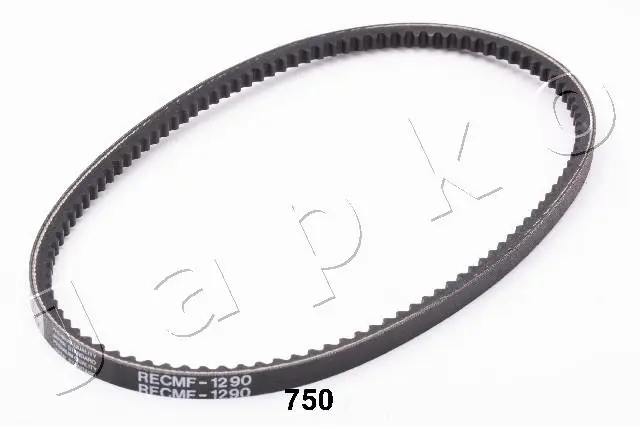 V-Belt (94750)