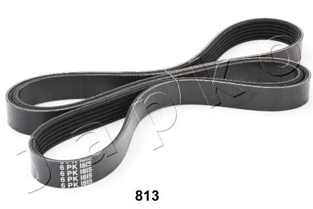 V-Ribbed Belt (96813)