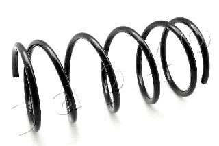 Suspension Spring (ZCJ1543A)