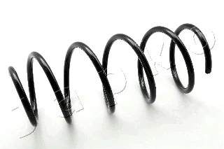 Suspension Spring (ZCJ1138G)