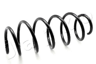 Suspension Spring (ZCJ3053H)
