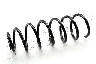 Suspension Spring (ZCJ5769C)