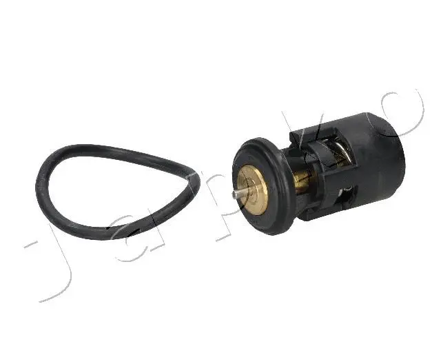 Thermostat, coolant (380907)