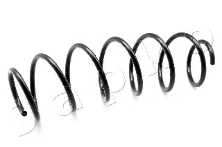 Suspension Spring (ZCJ3556A)