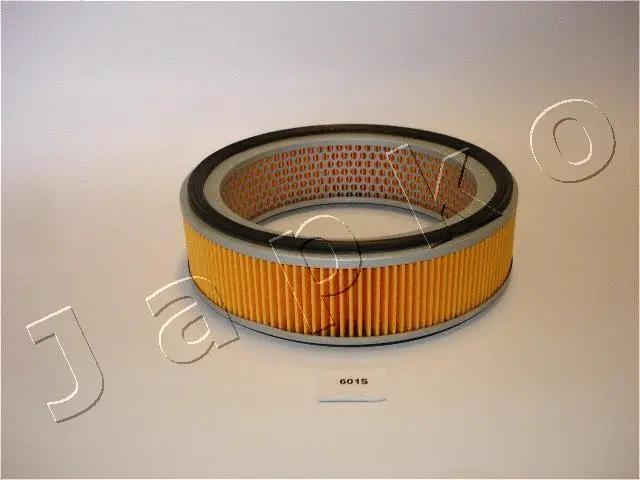 Air Filter (20601)