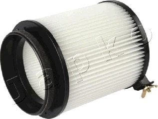 Filter, cabin air (21NS27)