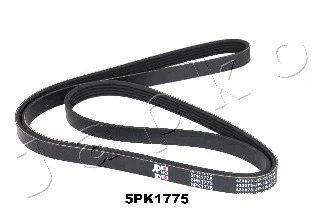 V-Ribbed Belt (5PK1775)
