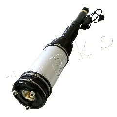 Air Suspension Strut (MJAS042)
