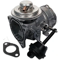 EGR Valve (1500908)