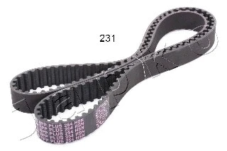 Timing Belt (40231)