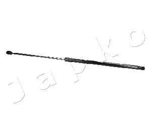 Gas Spring, boot/cargo area (ZSJ06079)