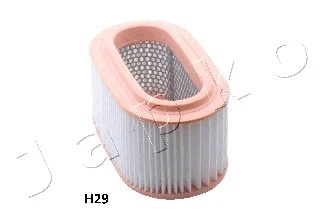 Air Filter (20H29)