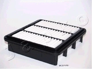 Air Filter (20K21)