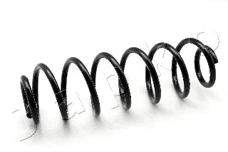 Suspension Spring (ZCJ6100H)