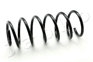 Suspension Spring (ZCJ1119C)