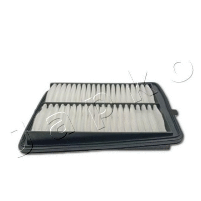 Air Filter (20845)