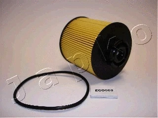 Fuel Filter (3ECO003)