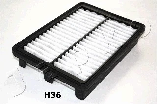 Air Filter (20H36)