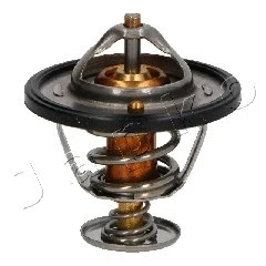 Thermostat, coolant (38517)