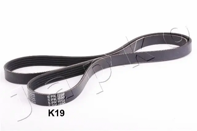 V-Ribbed Belt (96K19)