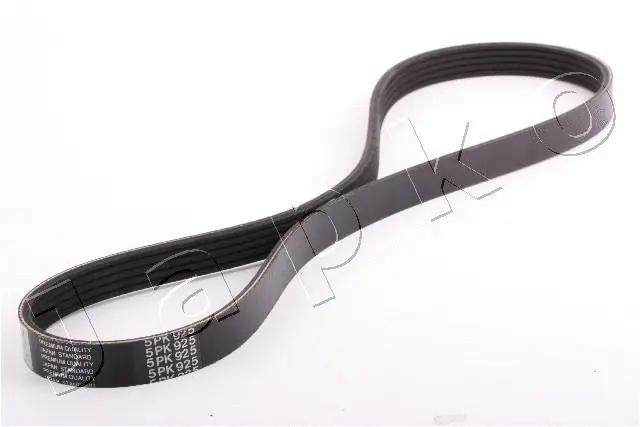V-Ribbed Belt (96925)