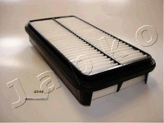 Air Filter (20254)
