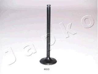 Intake Valve (5H00)