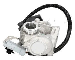 EGR Valve (1500306)