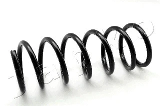 Suspension Spring (ZCJ6201A)