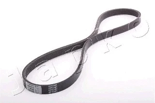 V-Ribbed Belt (4PK795)