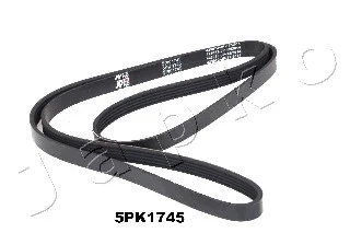 V-Ribbed Belt (5PK1745)