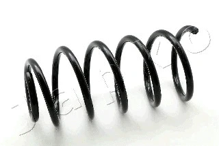 Suspension Spring (ZCJ1699C)