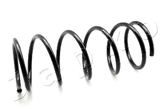 Suspension Spring (ZCJ1901A)