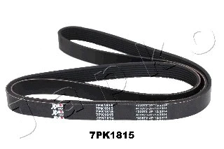 V-Ribbed Belt (7PK1815)