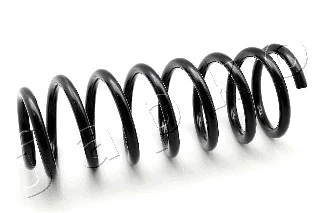 Suspension Spring (ZCJ5224C)