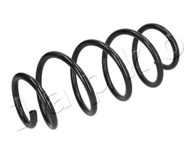 Suspension Spring (ZCJ1043A)