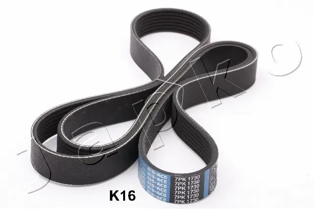 V-Ribbed Belt (96K16)