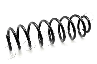 Suspension Spring (ZCJ5523C)