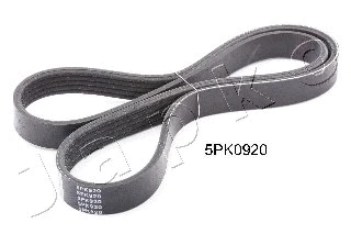 V-Ribbed Belt (5PK920)