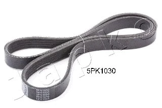 V-Ribbed Belt (5PK1030)