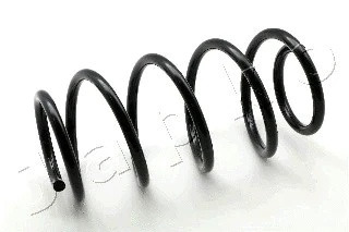 Suspension Spring (ZCJ1006H)
