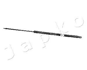 Gas Spring, boot/cargo area (ZSJ09128)