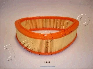 Air Filter (20494)