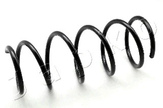 Suspension Spring (ZCJ2280C)