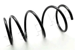 Suspension Spring (ZCJ3575G)