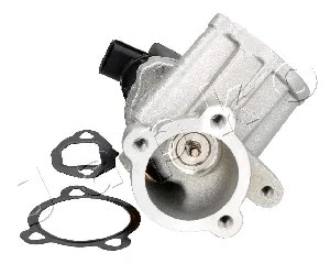 EGR Valve (1500201)