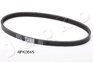 V-Ribbed Belt (4PK645)