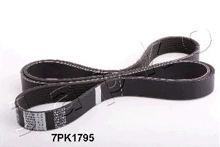 V-Ribbed Belt (7PK1795)