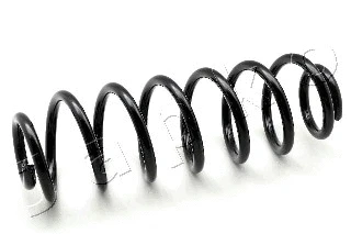 Suspension Spring (ZCJ5549H)