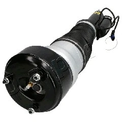 Air Suspension Strut (MJAS002)